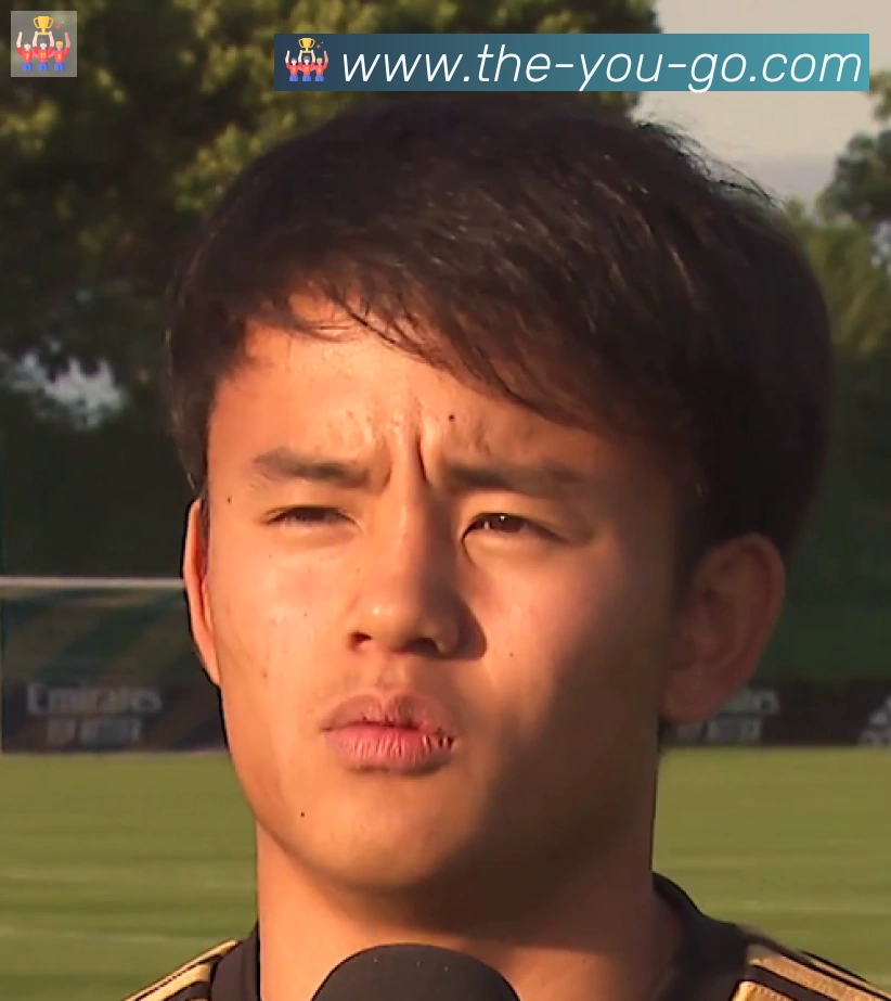 维尼修斯